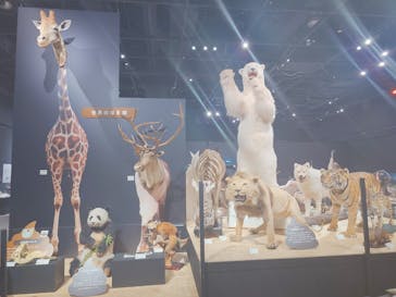  うんち展　-No UNCHI, No LIFE-に投稿された画像（2025/4/23）