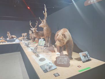  うんち展　-No UNCHI, No LIFE-に投稿された画像（2025/4/23）