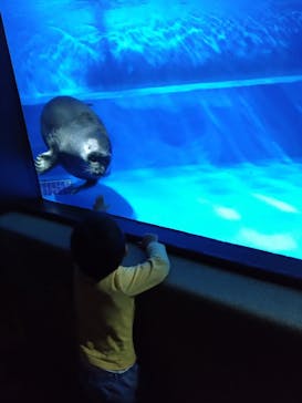 サンシャイン水族館に投稿された画像（2025/4/23）