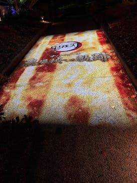 ニジゲンノモリに投稿された画像（2025/4/23）