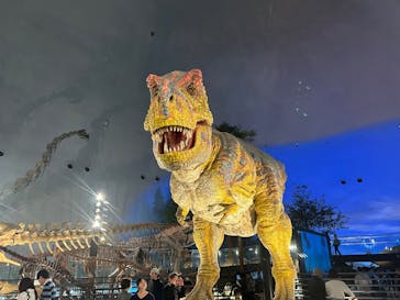 福井県立恐竜博物館に投稿された画像（2025/4/23）