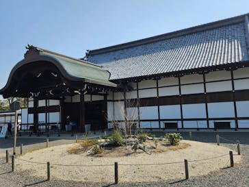 元離宮二条城に投稿された画像（2025/4/23）