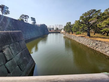 元離宮二条城に投稿された画像（2025/4/23）