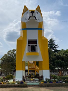 つくばわんわんランドに投稿された画像（2025/4/24）