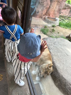 天王寺動物園に投稿された画像（2025/4/24）