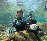 武藤潜水に投稿された画像（2025/4/24）