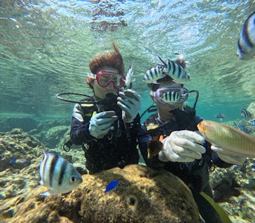 武藤潜水に投稿された画像（2025/4/24）