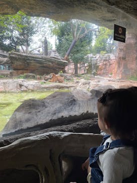 恩賜上野動物園に投稿された画像（2025/4/24）