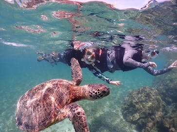 宮古島マリンショップSmileyに投稿された画像（2025/4/24）