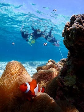 宮古島マリンショップSmileyに投稿された画像（2025/4/24）