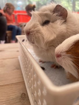 井の頭自然文化園に投稿された画像（2025/4/24）