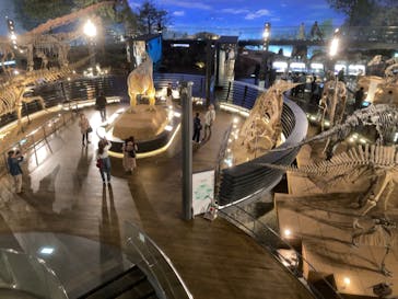 福井県立恐竜博物館に投稿された画像（2025/4/24）