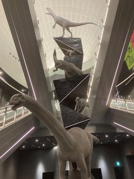 福井県立恐竜博物館に投稿された画像（2025/4/24）