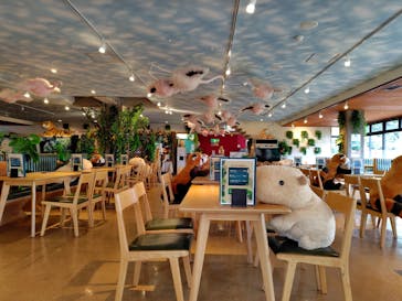 伊豆シャボテン動物公園に投稿された画像（2025/4/24）