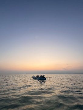 石垣島シュノーケルツアーに投稿された画像（2025/4/24）