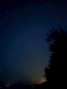 石垣島シュノーケルツアーに投稿された画像（2025/4/24）