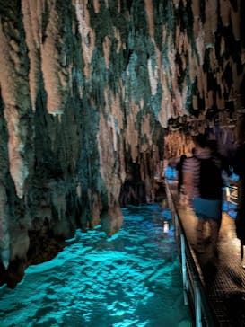 おきなわワールドに投稿された画像（2025/4/24）