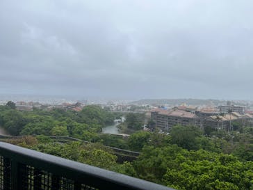 首里城公園 有料区域に投稿された画像（2025/4/24）