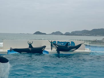 鴨川シーワールドに投稿された画像（2025/4/24）