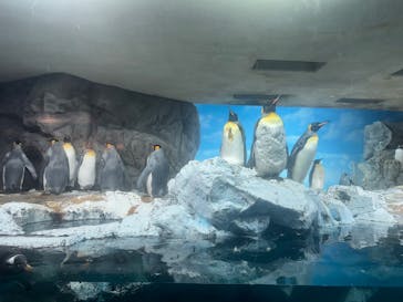 鴨川シーワールドに投稿された画像（2025/4/24）