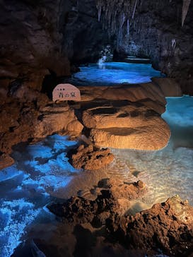 おきなわワールドに投稿された画像（2025/4/24）