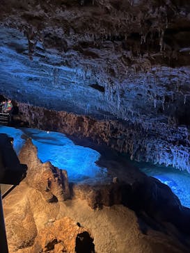 おきなわワールドに投稿された画像（2025/4/24）