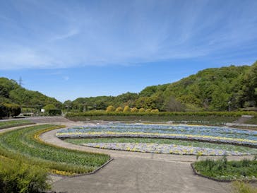 ぎふワールド・ローズガーデンに投稿された画像（2025/4/24）