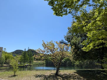 ぎふワールド・ローズガーデンに投稿された画像（2025/4/24）