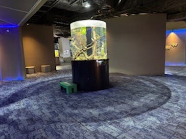 カワスイ 川崎⽔族館に投稿された画像（2025/4/24）