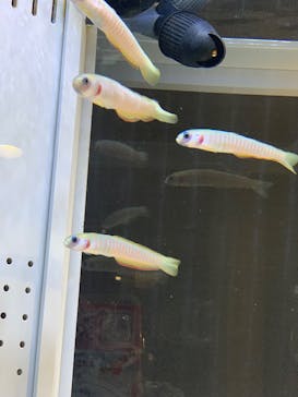 AOAO SAPPOROに投稿された画像（2025/4/24）