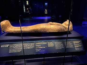 ACN ラムセス大王展 ファラオたちの黄金に投稿された画像（2025/4/24）
