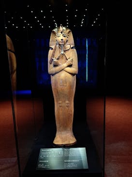 ACN ラムセス大王展 ファラオたちの黄金に投稿された画像（2025/4/24）