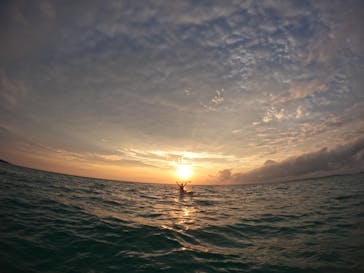 ちゃこたびに投稿された画像（2025/4/24）