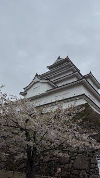 鶴ヶ城に投稿された画像（2025/4/24）