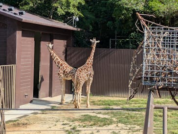 沖縄こどもの国に投稿された画像（2025/4/24）