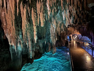 おきなわワールドに投稿された画像（2025/4/24）