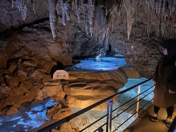 おきなわワールドに投稿された画像（2025/4/24）