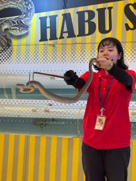 おきなわワールドに投稿された画像（2025/4/24）