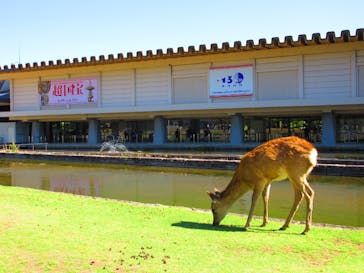 奈良国立博物館開館130年記念特別展「超 国宝―祈りのかがやきー」	に投稿された画像（2025/4/24）