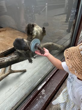 横浜・八景島シーパラダイスに投稿された画像（2025/4/24）