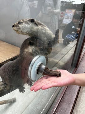 横浜・八景島シーパラダイスに投稿された画像（2025/4/24）