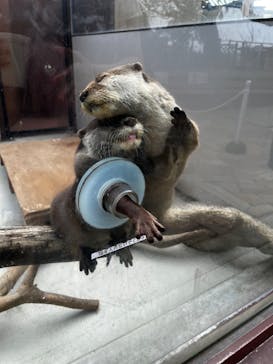 横浜・八景島シーパラダイスに投稿された画像（2025/4/24）