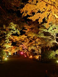NAKED夜さんぽ™ 石川・那谷寺に投稿された画像（2025/4/24）