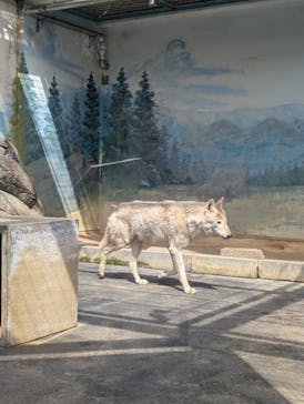 天王寺動物園に投稿された画像（2025/4/24）