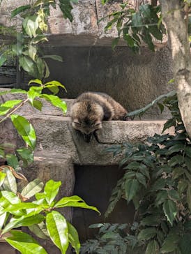 天王寺動物園に投稿された画像（2025/4/24）