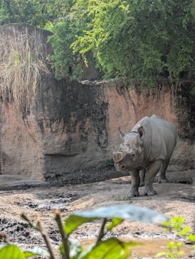 天王寺動物園に投稿された画像（2025/4/24）