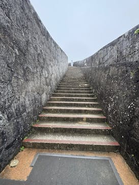 首里城公園 有料区域に投稿された画像（2025/4/24）
