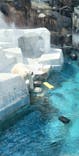 天王寺動物園に投稿された画像（2025/4/24）