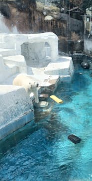 天王寺動物園に投稿された画像（2025/4/24）
