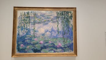 モネ　睡蓮のときに投稿された画像（2025/4/24）